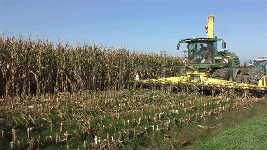 夏玉米机械化免耕播种技术要点